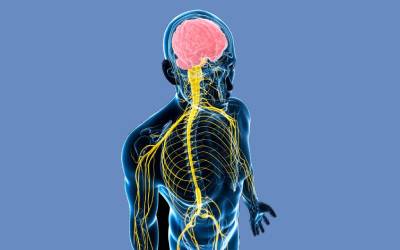 Neurophysiology Lab Abu Dhabi