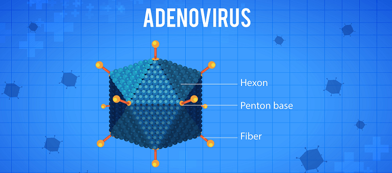 basic-precautions-for-adenovirus-UAE.png